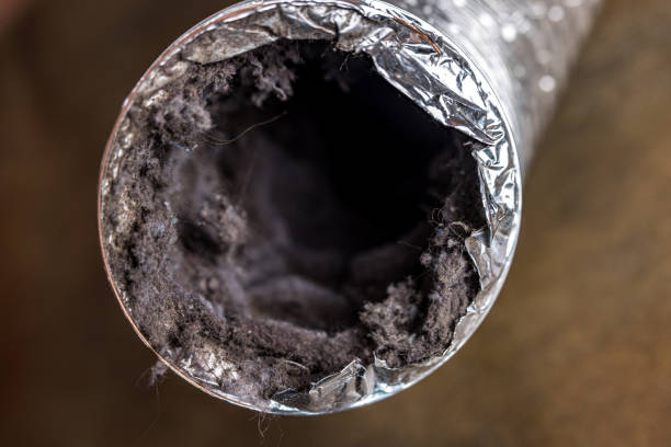 Best Commercial Air Duct Cleaning  in Pinehurst, ID