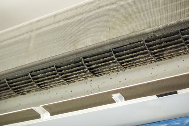 Best Best Air Duct Cleaning Company  in Pinehurst, ID